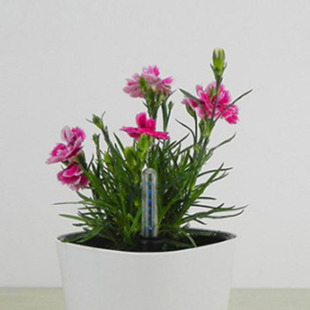 Plant Monitor - Medidor de Nivel de Agua para
