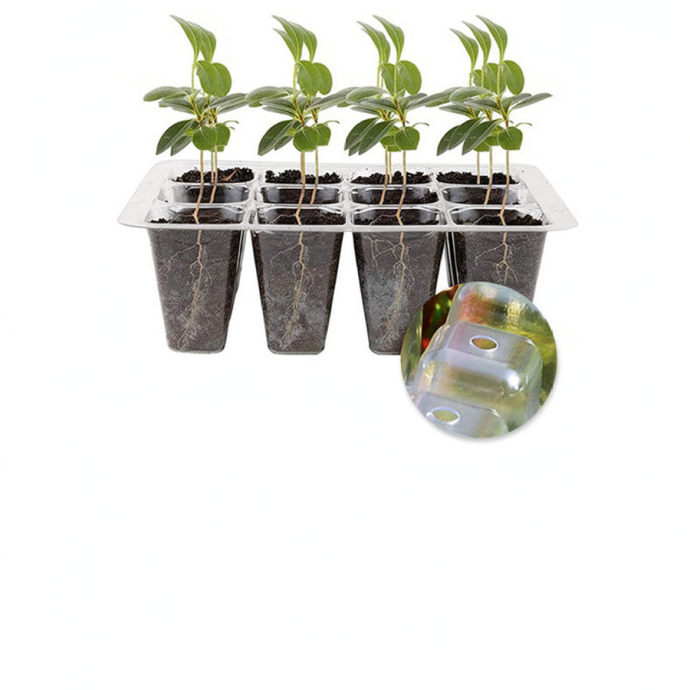Indoor Garden Kit - Kit de inicio para el cultivo
