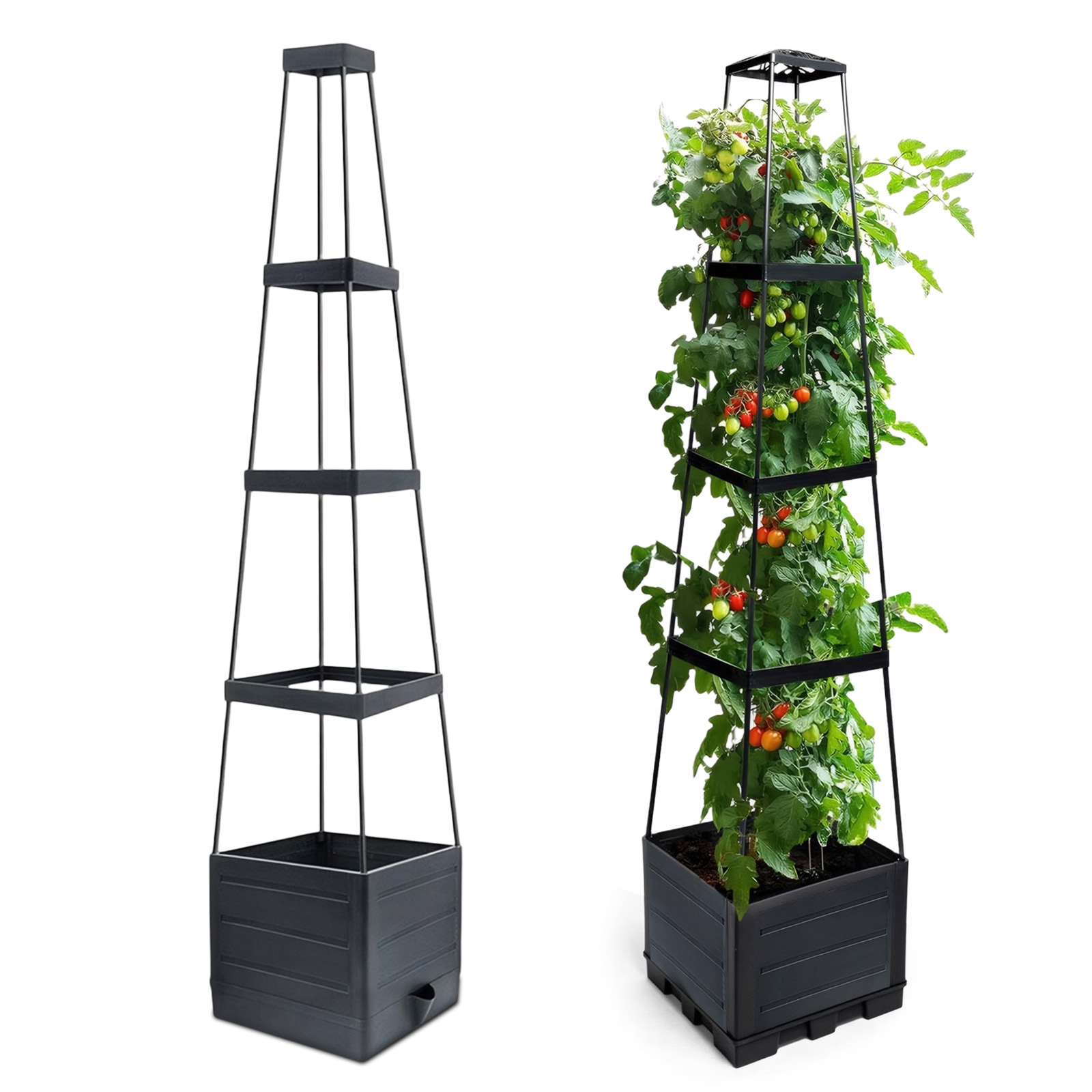 Self Watering Planter - Jardinera Elevada con Enrejado para Tomates,