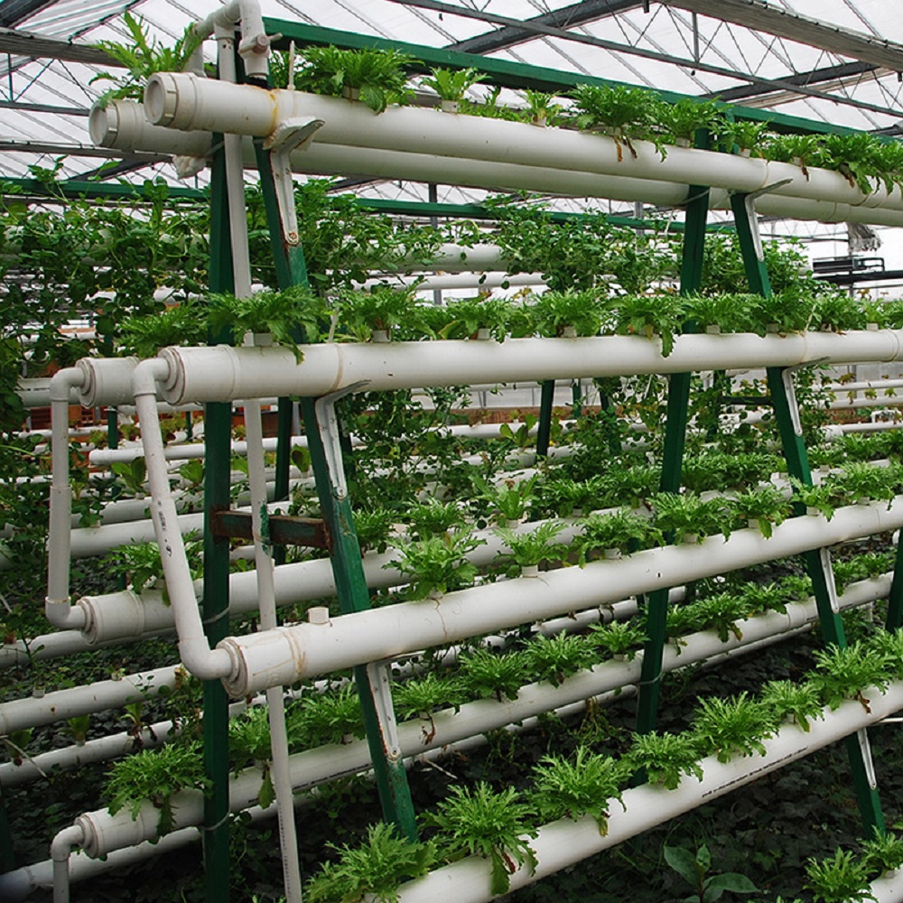Equipo de cultivo sin suelo, e - Hydroponic Tower reseña y precio