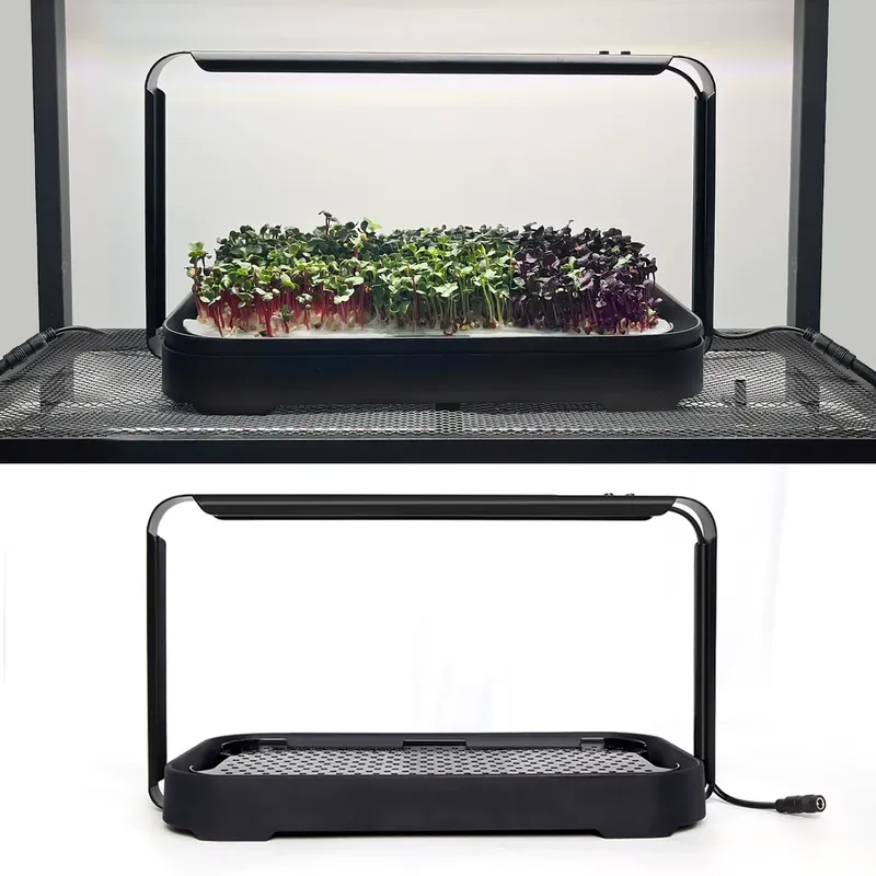 Sistema de Cultivo Hidropónico - Self Watering Planter reseña y precio