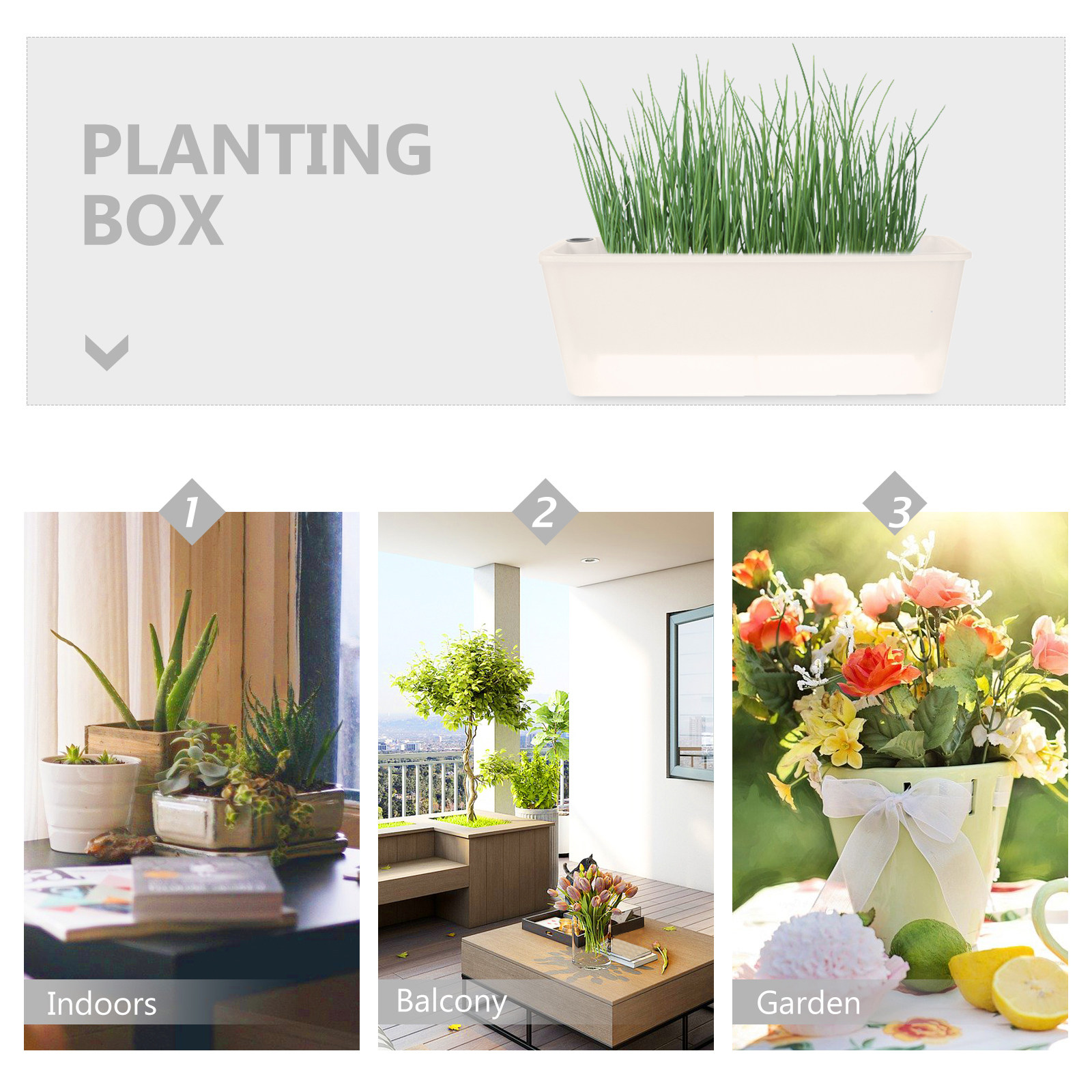 Jardinera rectangular, maceta  - Self Watering Planter reseña y precio