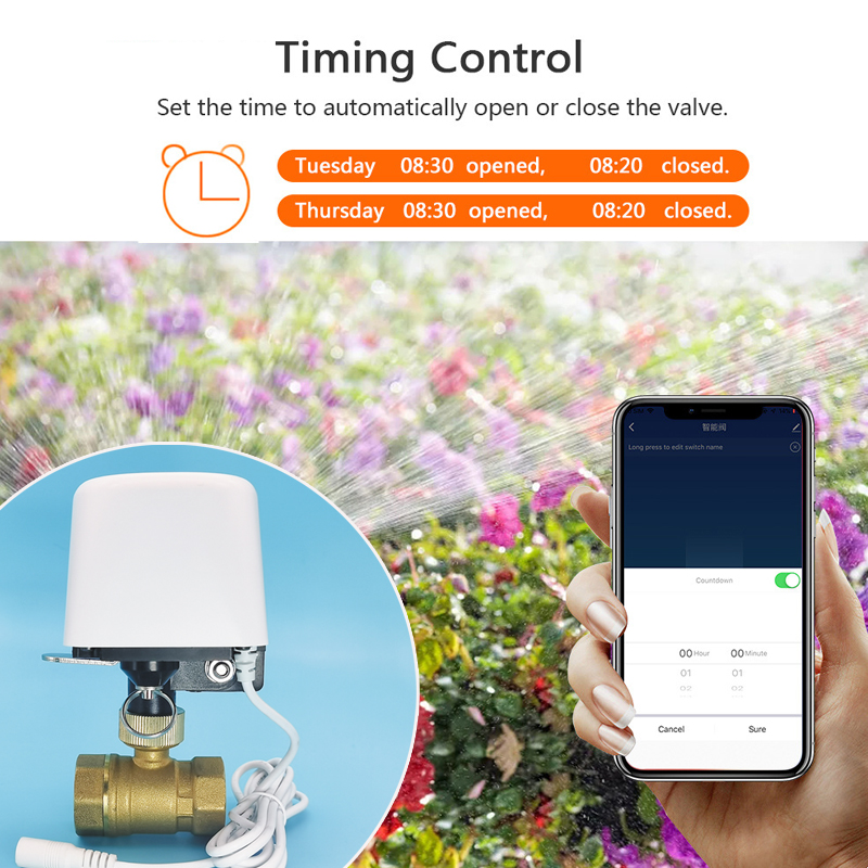 Válvula de agua Tuya Zigbee Wi - Smart Garden System reseña y precio