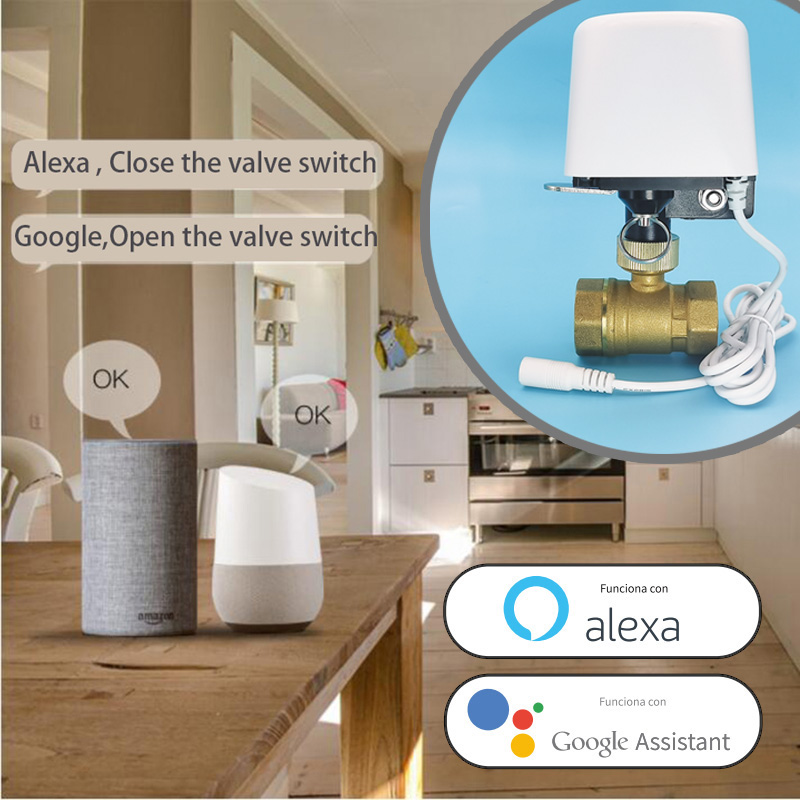 Válvula de agua Tuya Zigbee Wi - Smart Garden System reseña y precio