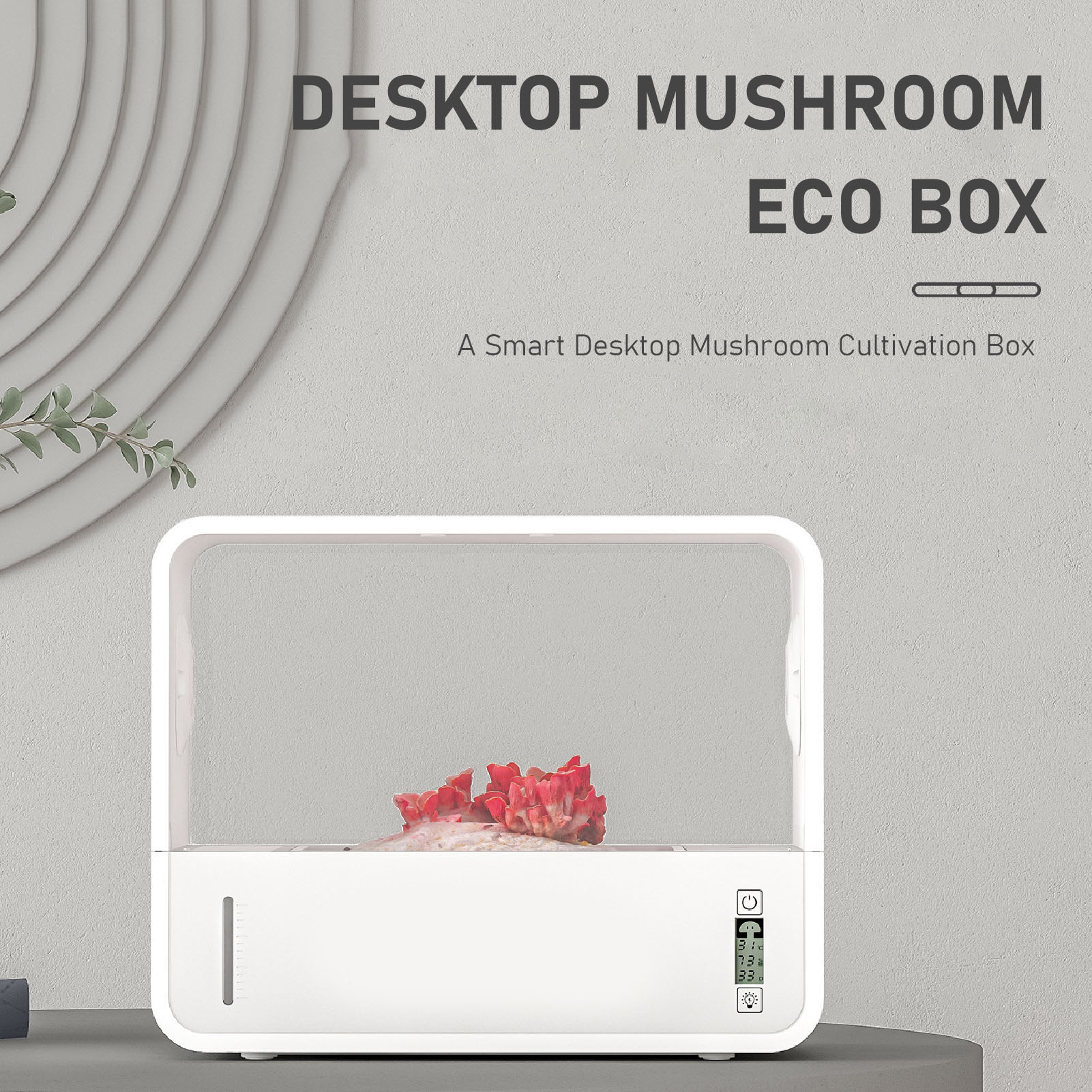 Kit de Cultivo de Hongos, Caja - Grow Light Led reseña y precio
