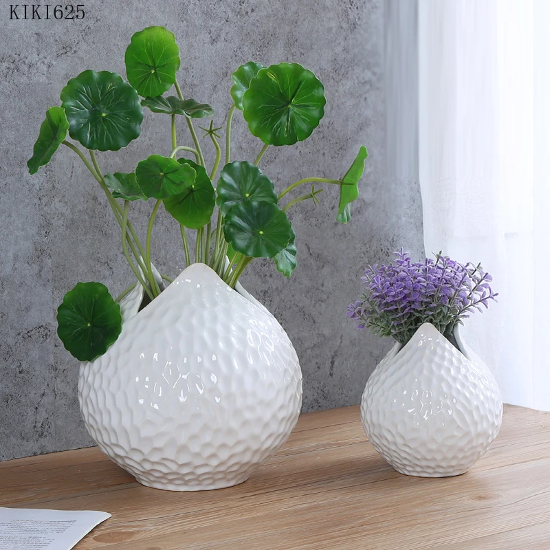 Jarrón de Cerámica con Recubri - Hydroponic Grow Pod reseña y precio