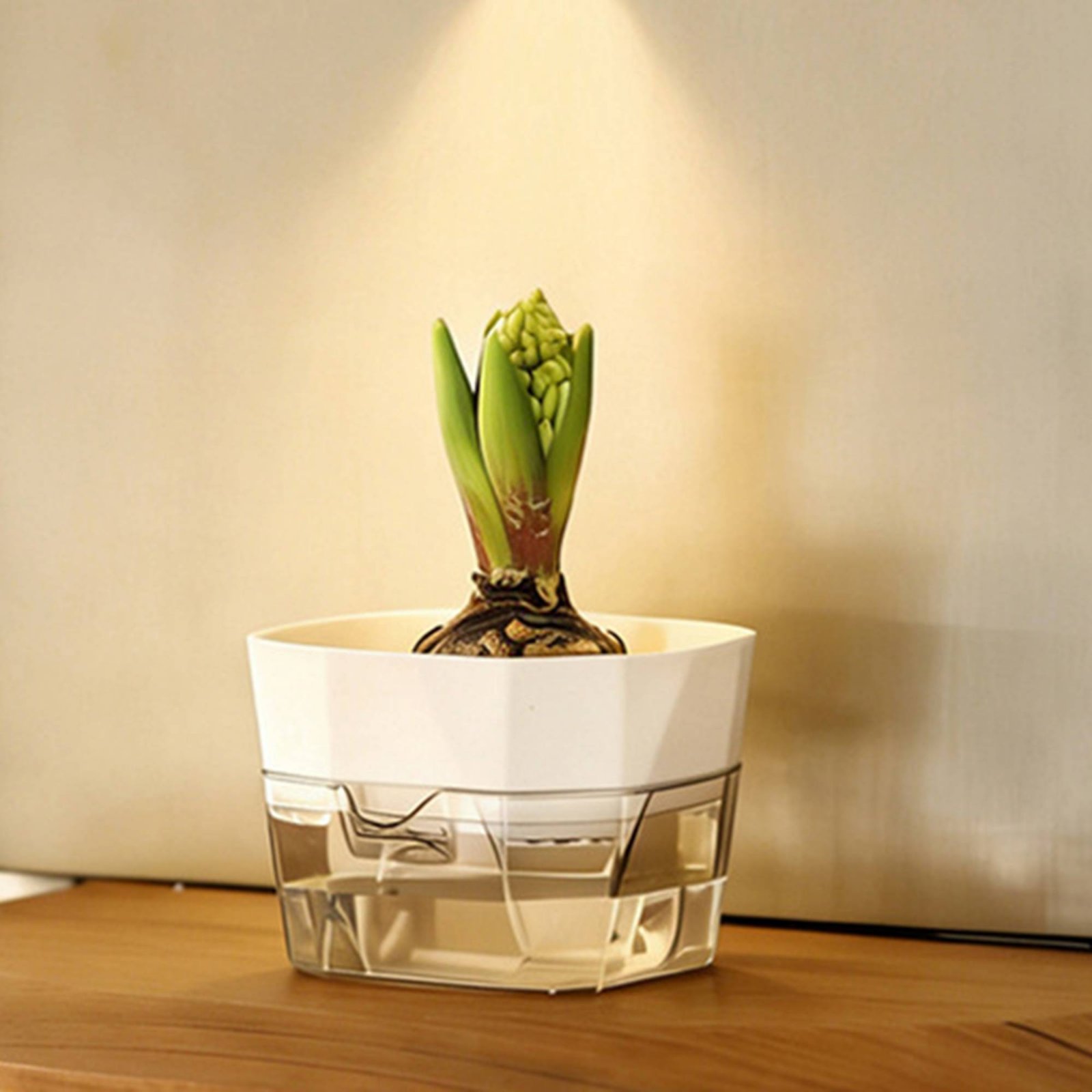 Maceta Hidropónica de 2 Nivele - Automatic Watering reseña y precio