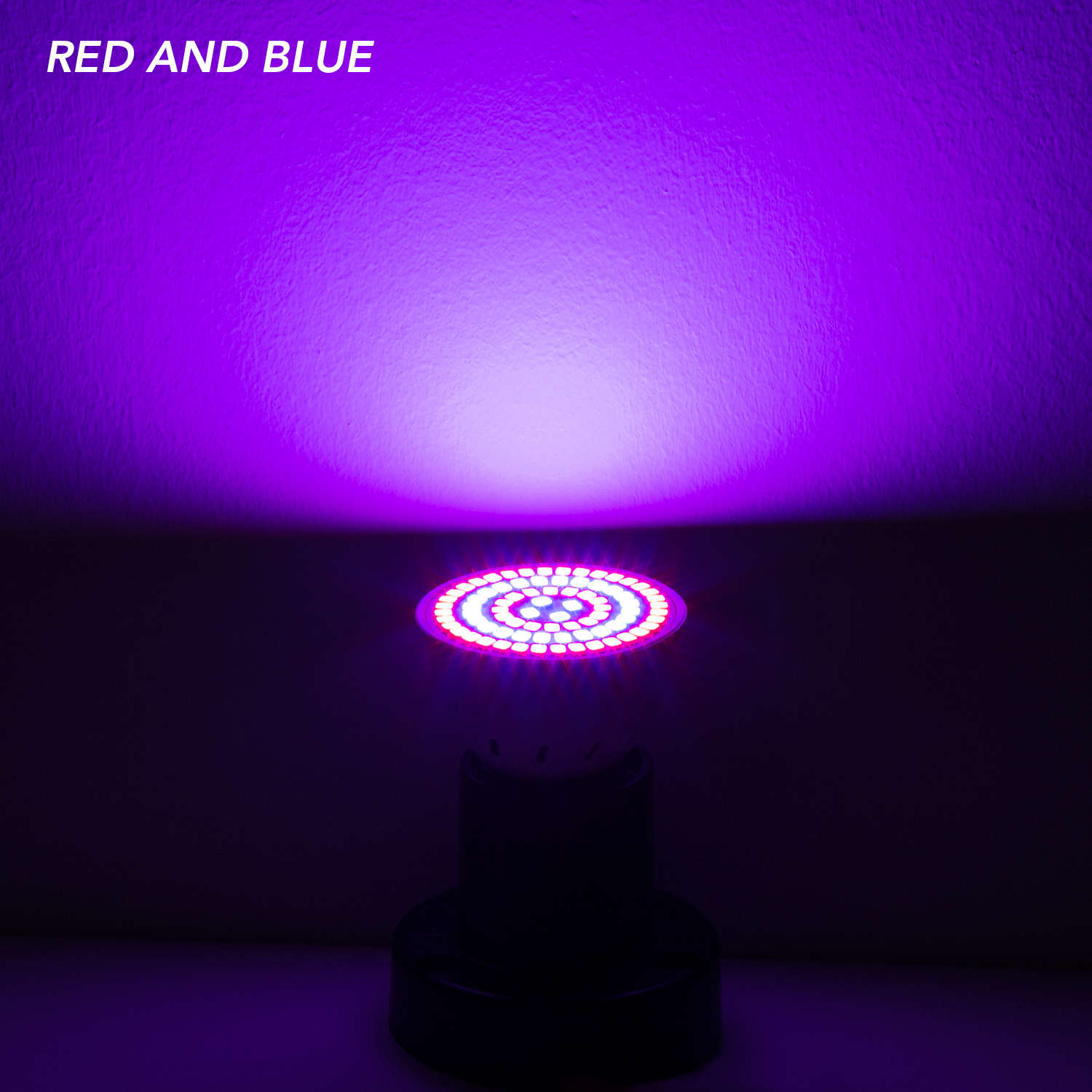 Lámpara LED Phyto de espectro  - Plant Grow Light Full Spectrum reseña y precio