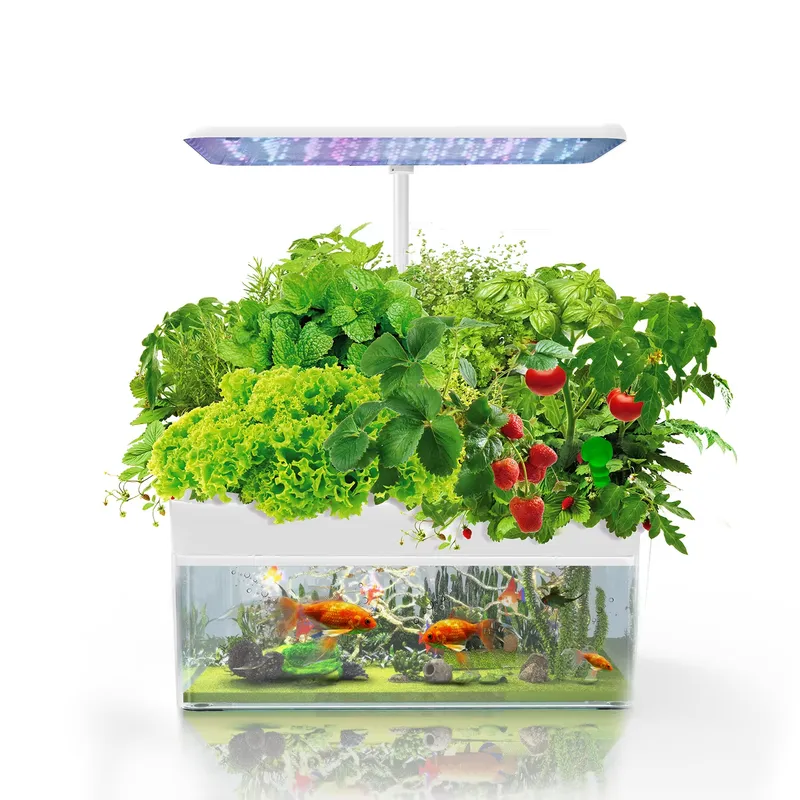 Sistema de Cultivo Hidropónico - Smart Garden System reseña y precio