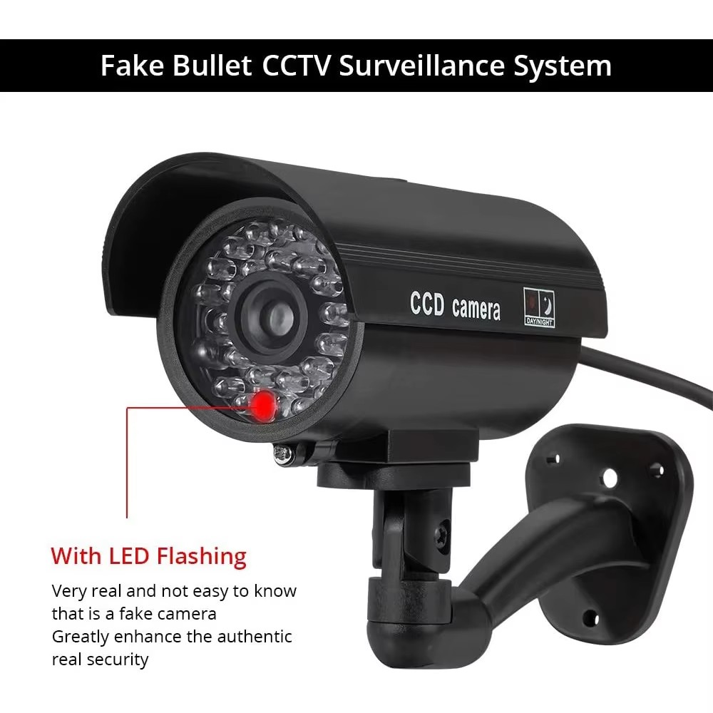 Cámara de simulación, cámara f - Garden Camera reseña y precio