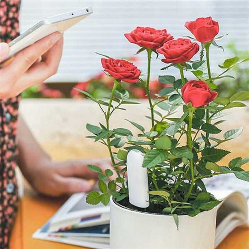 ABVG-Flora Monitor Inteligente - Plant Sensor reseña y precio