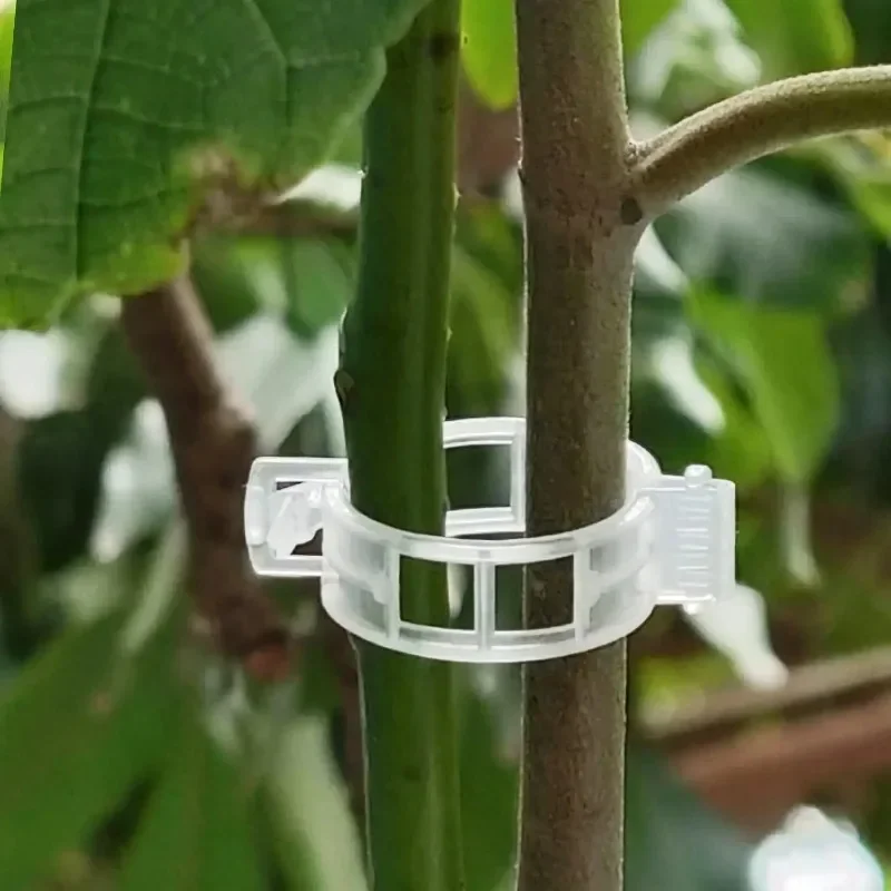 Clips de Soporte para Plantas, - Smart Garden Kit reseña y precio