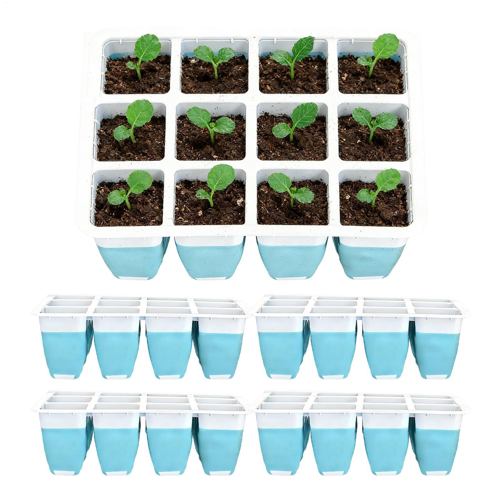 Paquete de 5 Bandejas de Silic - Indoor Garden Kit reseña y precio
