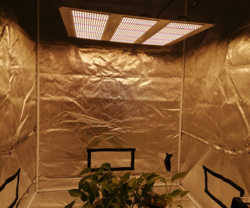 Carpa de cultivo interior de 9 - Indoor Garden Kit reseña y precio
