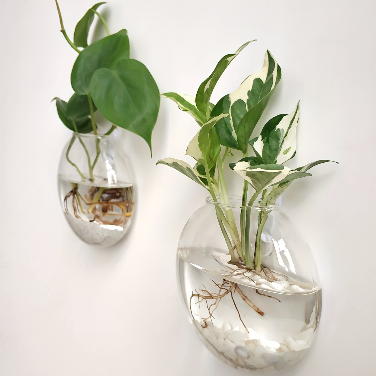 Juego de 2, 4 o 6 piezas: terr - Hydroponic Grow Pod reseña y precio