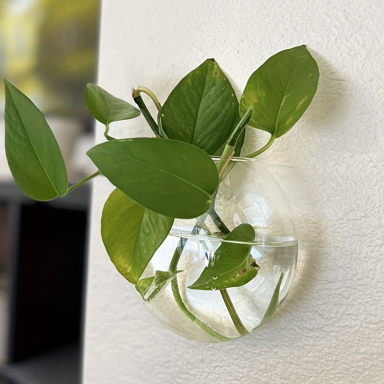 Juego de 2, 4 o 6 piezas: terr - Hydroponic Grow Pod reseña y precio