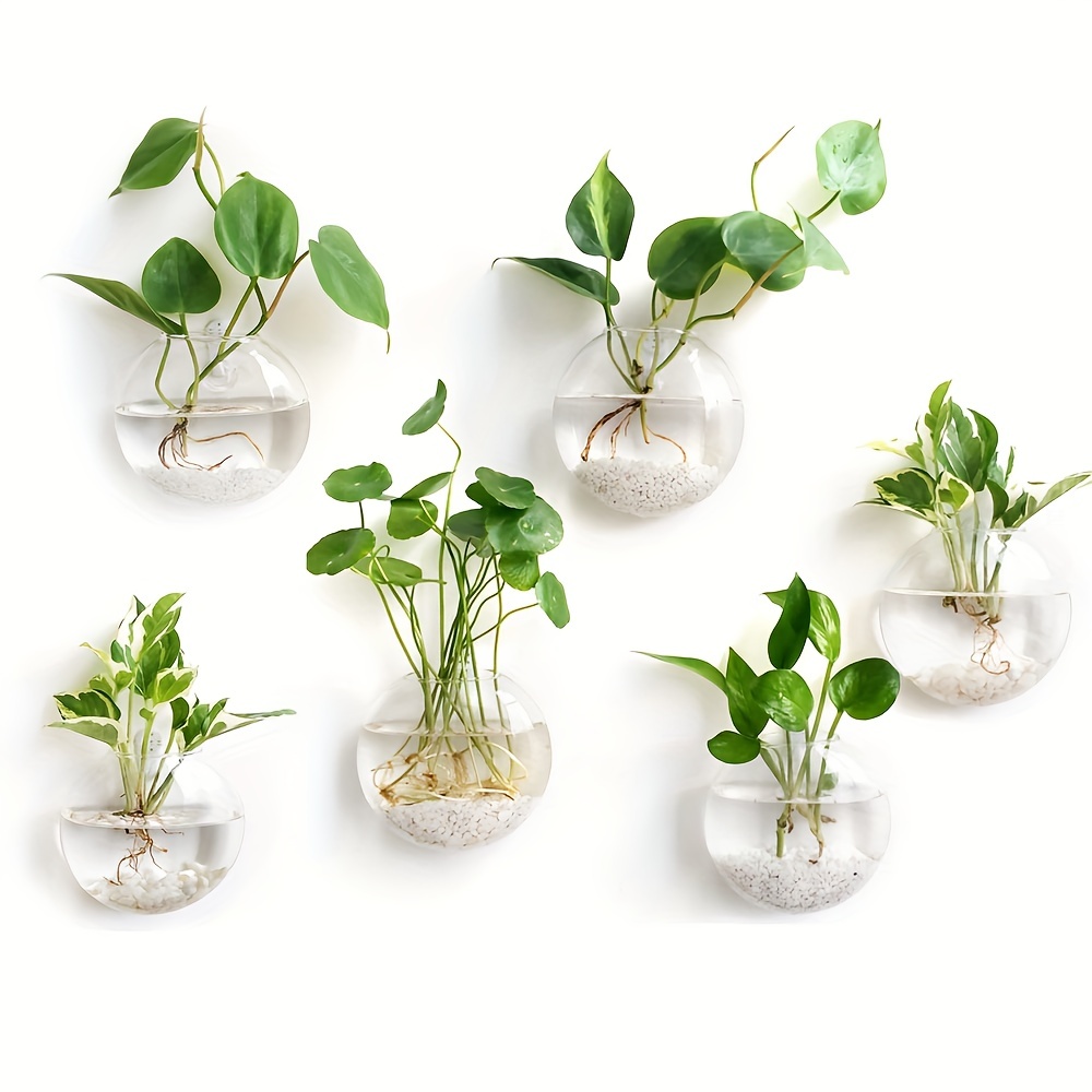 Juego de 2, 4 o 6 piezas: terr - Hydroponic Grow Pod reseña y precio