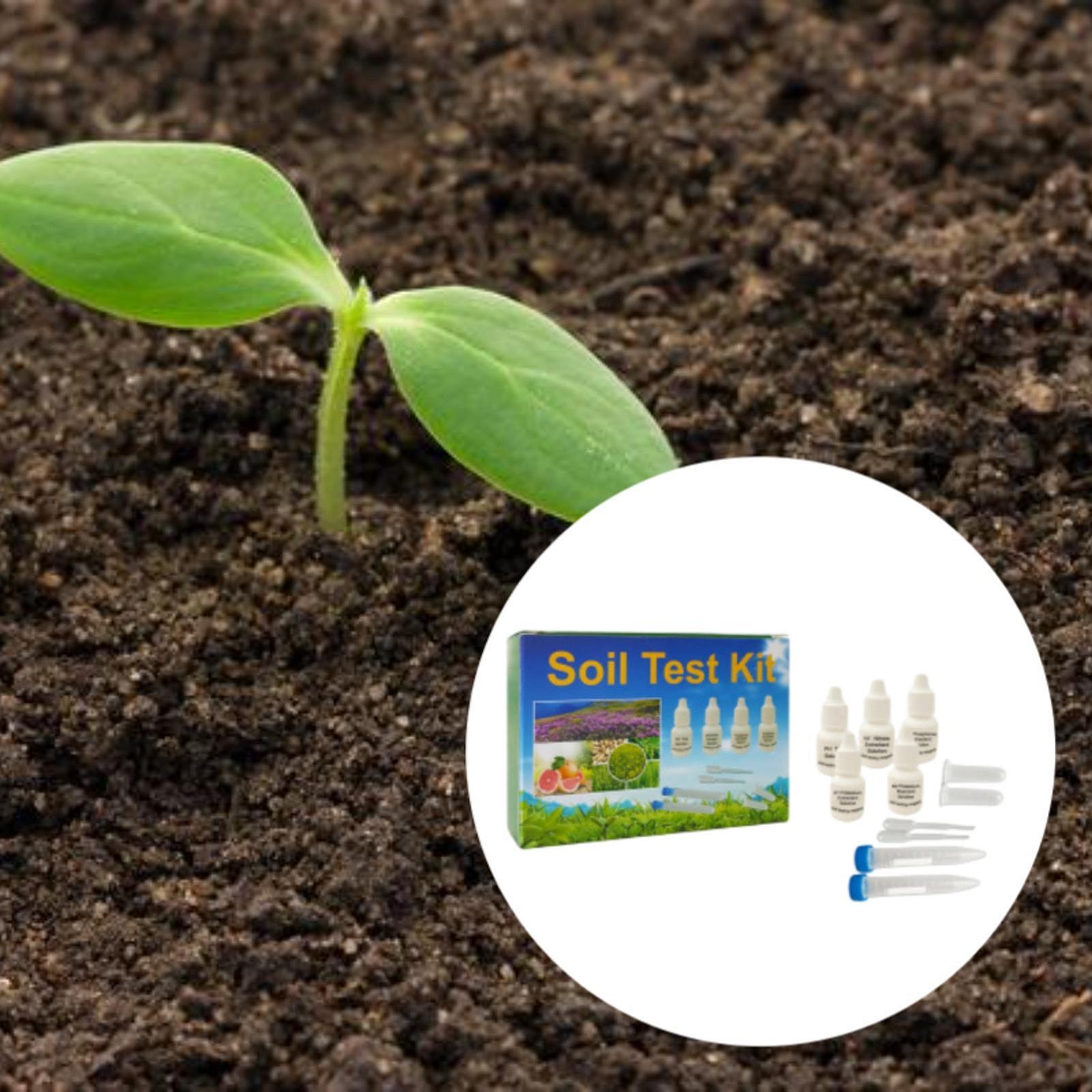 Kit de análisis de suelo, fáci - Indoor Garden Kit reseña y precio