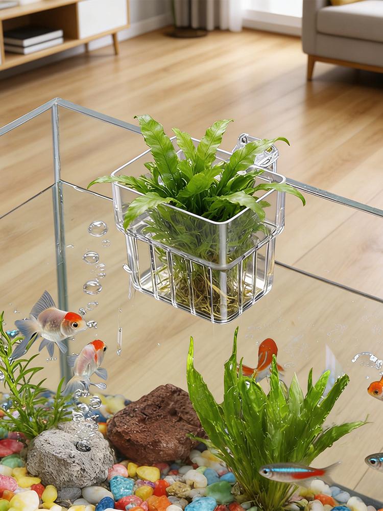Soporte transparente para plan - Hydroponic Grow Pod reseña y precio