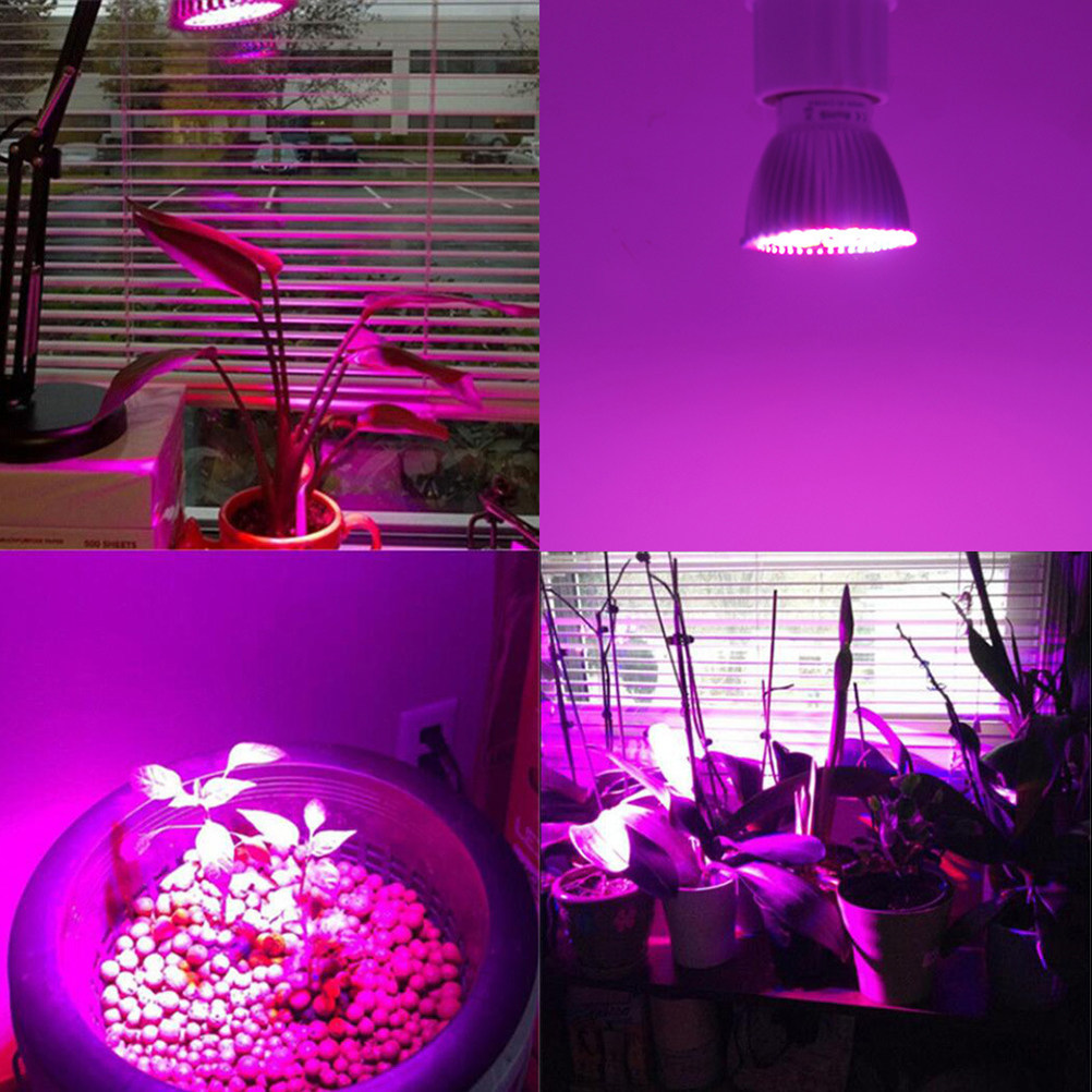 Lámpara LED para el crecimient - Plant Grow Light Full Spectrum reseña y precio