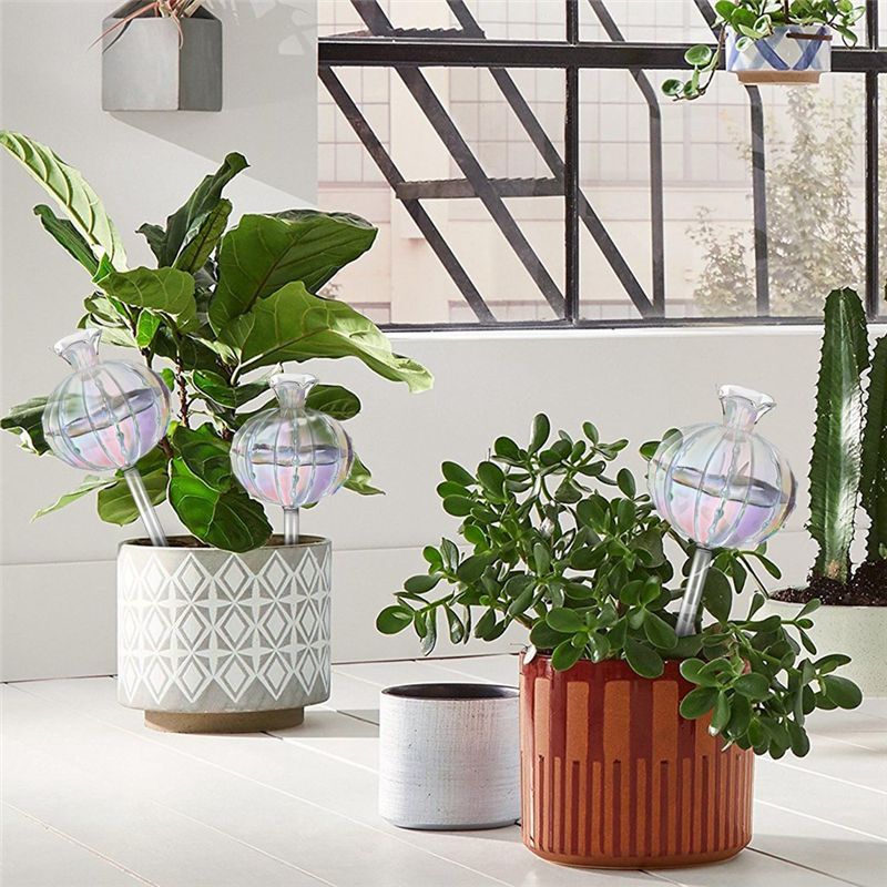 AA94 - Bombillas de riego para - Self Watering Planter reseña y precio