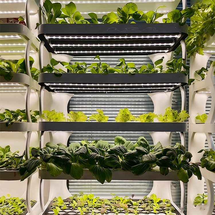 Maceta inteligente para jardín - Smart Garden System reseña y precio